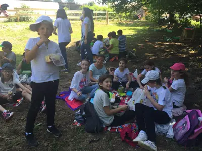 Excursión de 3º y 4º de Primaria al centro equestre «As Leiras». Curso 2016-17, foto 10 de 174
