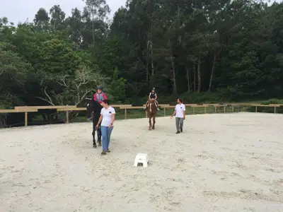 Excursión de 3º y 4º de Primaria al centro equestre «As Leiras». Curso 2016-17, foto 114 de 174