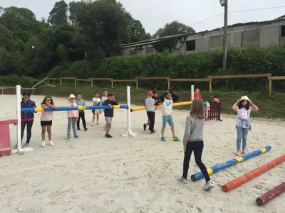 Excursión de 3º y 4º de Primaria al centro equestre «As Leiras». Curso 2016-17, foto 115 de 174