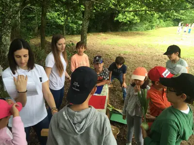 Excursión de 3º y 4º de Primaria al centro equestre «As Leiras». Curso 2016-17, foto 124 de 174