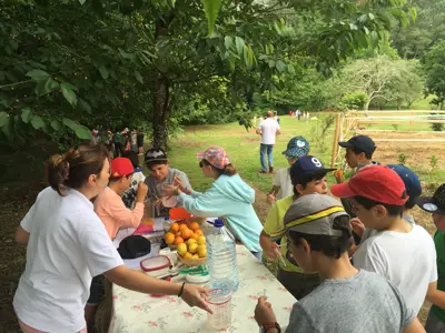 Excursión de 3º y 4º de Primaria al centro equestre «As Leiras». Curso 2016-17, foto 125 de 174