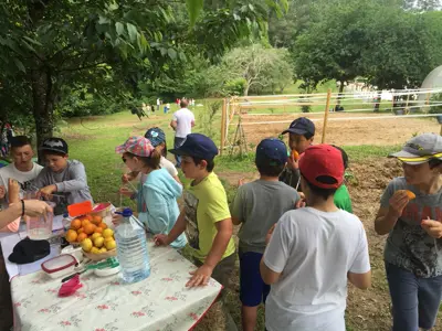 Excursión de 3º y 4º de Primaria al centro equestre «As Leiras». Curso 2016-17, foto 126 de 174