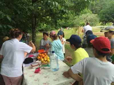 Excursión de 3º y 4º de Primaria al centro equestre «As Leiras». Curso 2016-17, foto 127 de 174