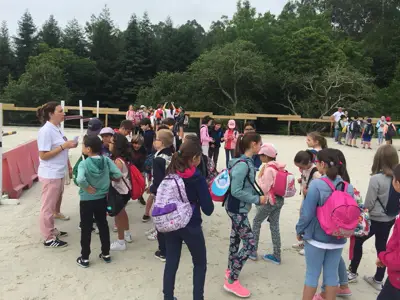 Excursión de 3º y 4º de Primaria al centro equestre «As Leiras». Curso 2016-17, foto 134 de 174