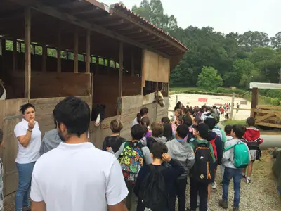 Excursión de 3º y 4º de Primaria al centro equestre «As Leiras». Curso 2016-17, foto 138 de 174
