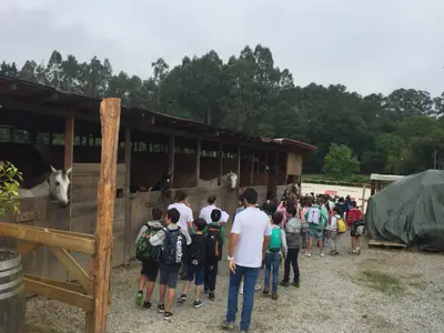 Excursión de 3º y 4º de Primaria al centro equestre «As Leiras». Curso 2016-17, foto 139 de 174