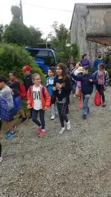 Excursión de 3º y 4º de Primaria al centro equestre «As Leiras». Curso 2016-17, foto 154 de 174