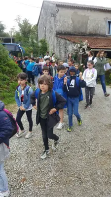 Excursión de 3º y 4º de Primaria al centro equestre «As Leiras». Curso 2016-17, foto 155 de 174