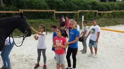 Excursión de 3º y 4º de Primaria al centro equestre «As Leiras». Curso 2016-17, foto 164 de 174