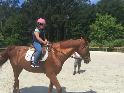 Excursión de 3º y 4º de Primaria al centro equestre «As Leiras». Curso 2016-17, foto 30 de 174