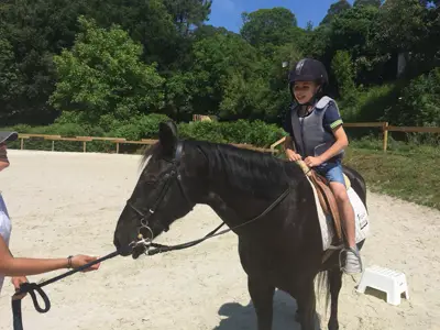 Excursión de 3º y 4º de Primaria al centro equestre «As Leiras». Curso 2016-17, foto 42 de 174
