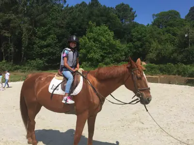 Excursión de 3º y 4º de Primaria al centro equestre «As Leiras». Curso 2016-17, foto 53 de 174