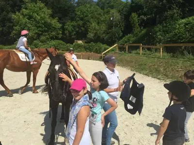 Excursión de 3º y 4º de Primaria al centro equestre «As Leiras». Curso 2016-17, foto 56 de 174