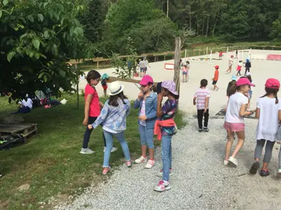 Excursión de 3º y 4º de Primaria al centro equestre «As Leiras». Curso 2016-17, foto 69 de 174
