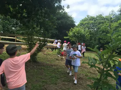 Excursión de 3º y 4º de Primaria al centro equestre «As Leiras». Curso 2016-17, foto 76 de 174