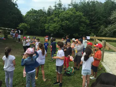 Excursión de 3º y 4º de Primaria al centro equestre «As Leiras». Curso 2016-17, foto 80 de 174