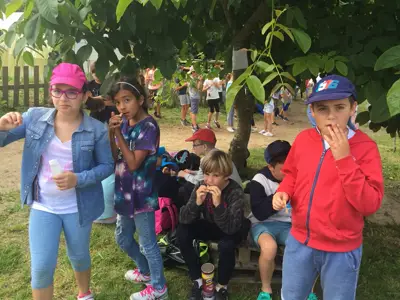 Excursión de 3º y 4º de Primaria al centro equestre «As Leiras». Curso 2016-17, foto 82 de 174