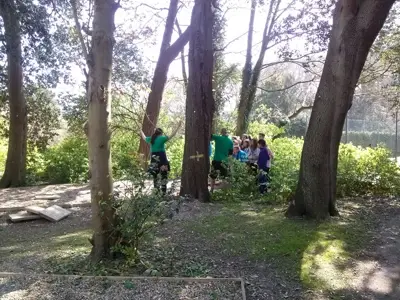 Viaje de inmersión curso 2014-15, foto 610 de 738